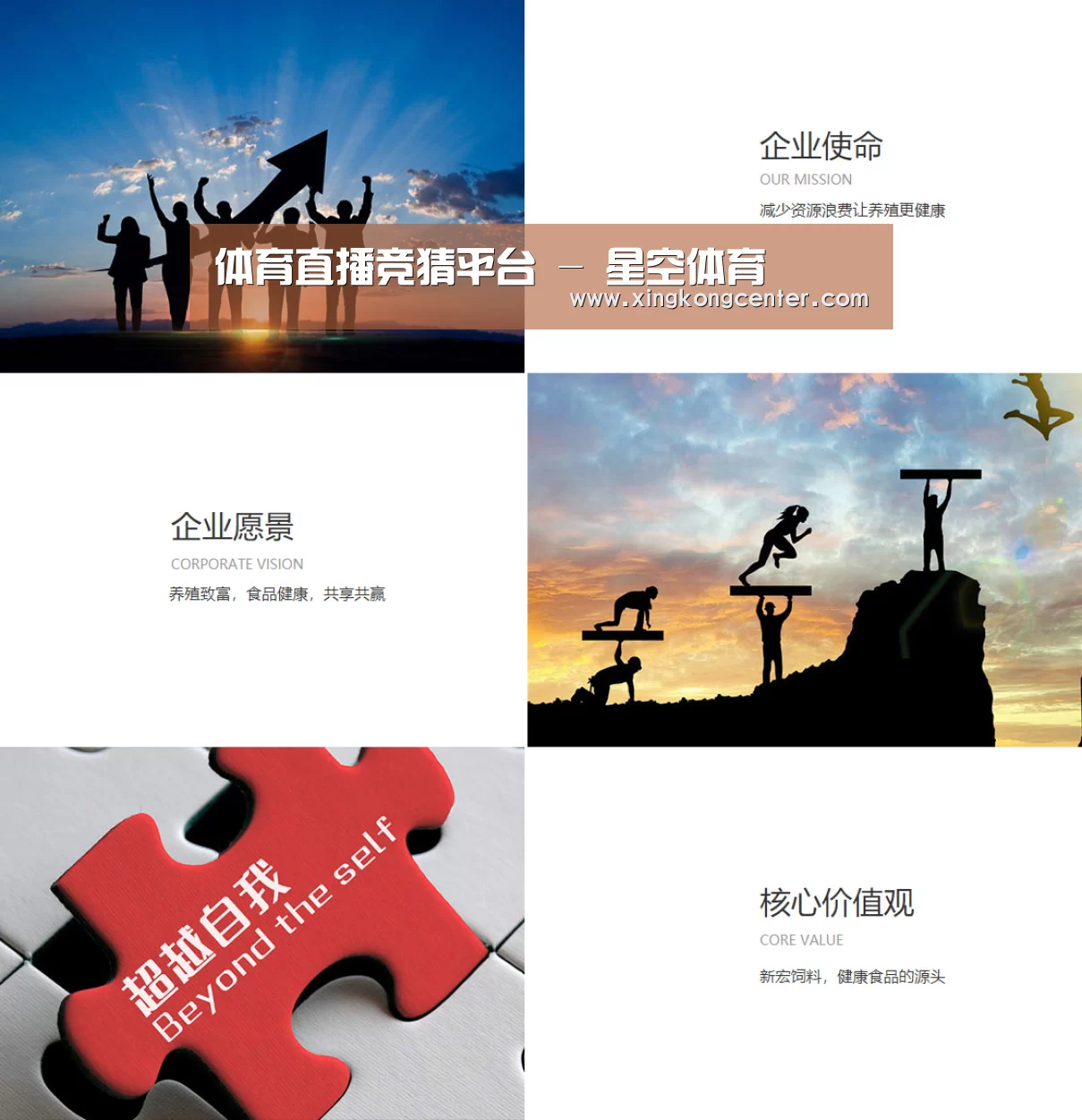 企业文化(图1)