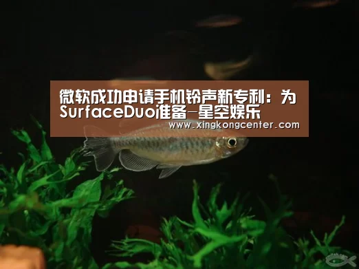 微软成功申请手机铃声新专利:为SurfaceDuo准备-星空娱乐(图4) 星空官网