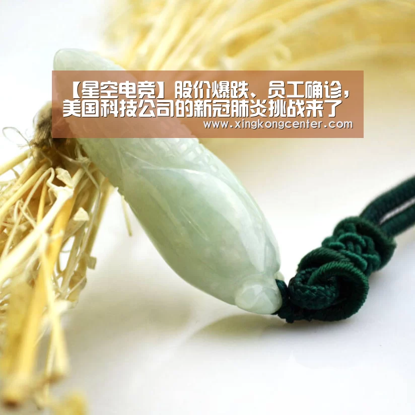 星空娱乐