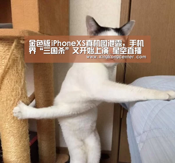 金色版iPhoneXS真机图泄露,手机界“三国杀”又开始上演_星空直播(图3) 星空直播