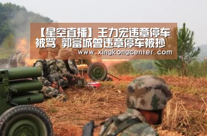 【星空直播】王力宏违章停车被骂 郭富城曾违章停车被抄牌(图2) 星空官网