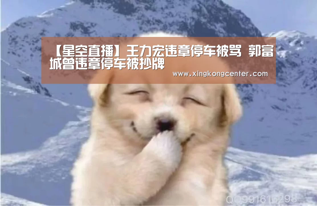 【星空直播】王力宏违章停车被骂 郭富城曾违章停车被抄牌(图1) 星空直播
