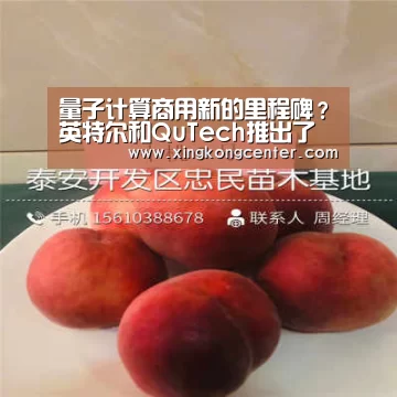 星空娱乐
