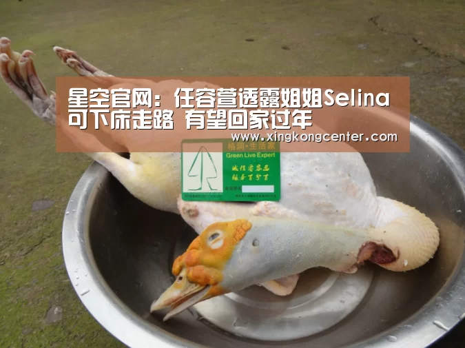 星空官网:任容萱透露姐姐Selina可下床走路 有望回家过年(图3) 星空官网