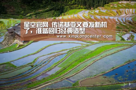 星空官网_传诺基亚又要发新机了,准备回归经典造型(图4) 星空娱乐