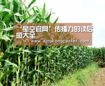 ‘星空官网’传播力的读后感大全(图2) 星空官网