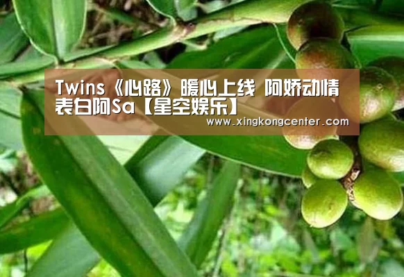 Twins《心路》暖心上线 阿娇动情表白阿Sa【星空娱乐】(图4) 星空官网