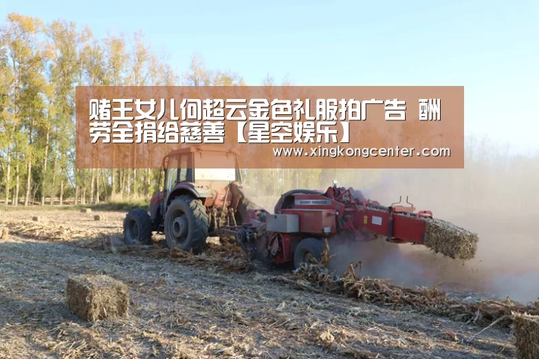 赌王女儿何超云金色礼服拍广告 酬劳全捐给慈善【星空娱乐】(图3) 星空电竞
