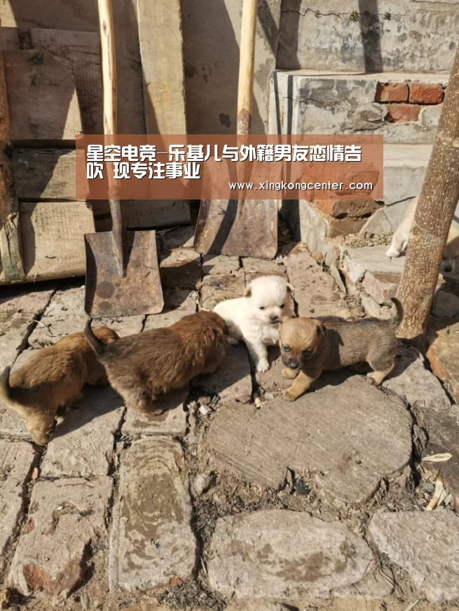星空电竞-乐基儿与外籍男友恋情告吹 现专注事业(图3) 星空电竞