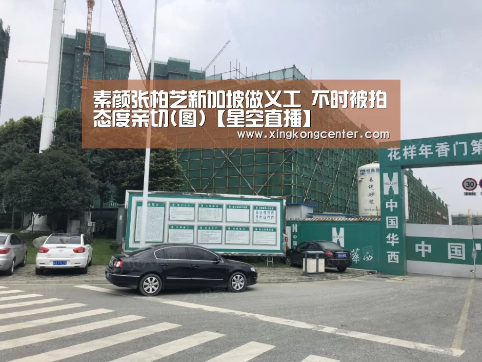 素颜张柏芝新加坡做义工 不时被拍态度亲切(图)【星空直播】(图2) 星空官网