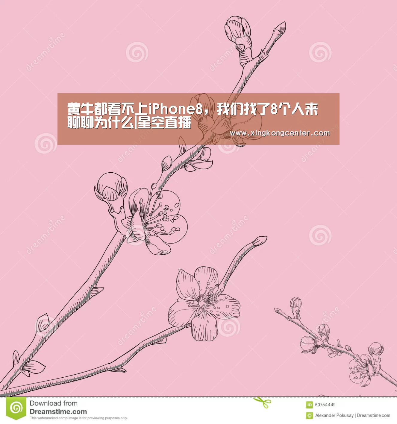 星空官网